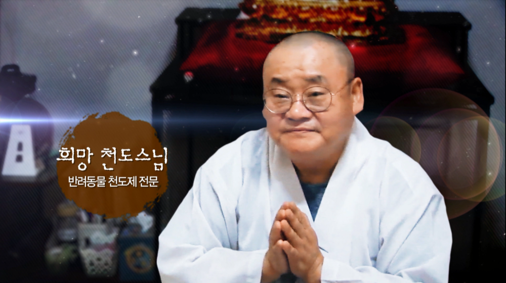 생로병사의 비밀에 나온 반려동물 천도재 영상